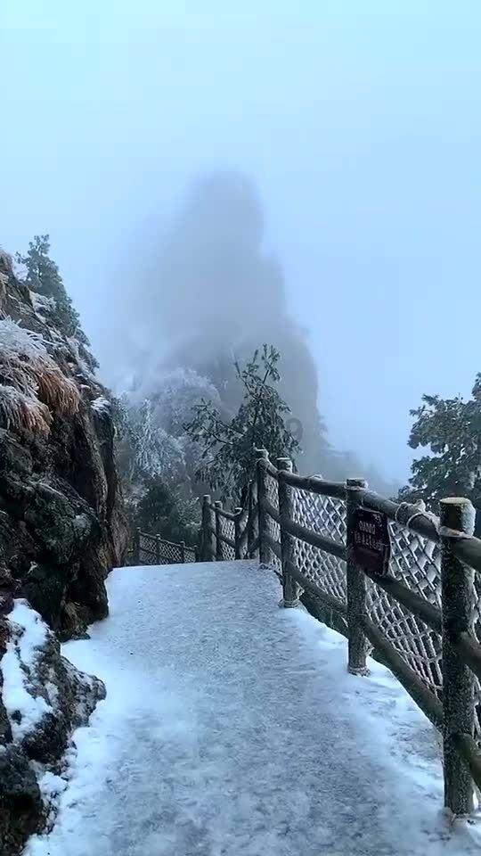 救援鹦鹉